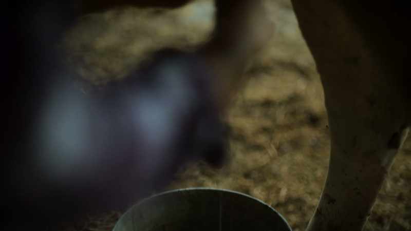 I'm disciplined. - [cow moos]