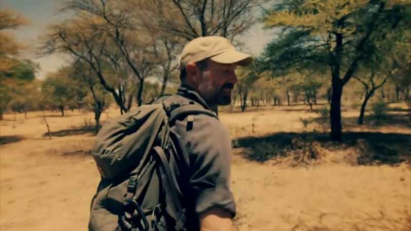 I'M GOING TO PUT OUT SOME CAMERA TRAPS