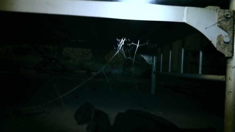 I'm gonna go look for Carly. Stay here