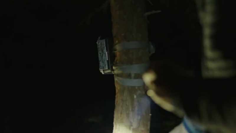 I'm gonna leave this trail camera here