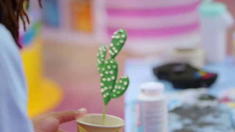 I'm gonna make succulents for my box