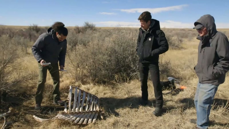 I'm gonna try and get into these bones a little deeper, Paul