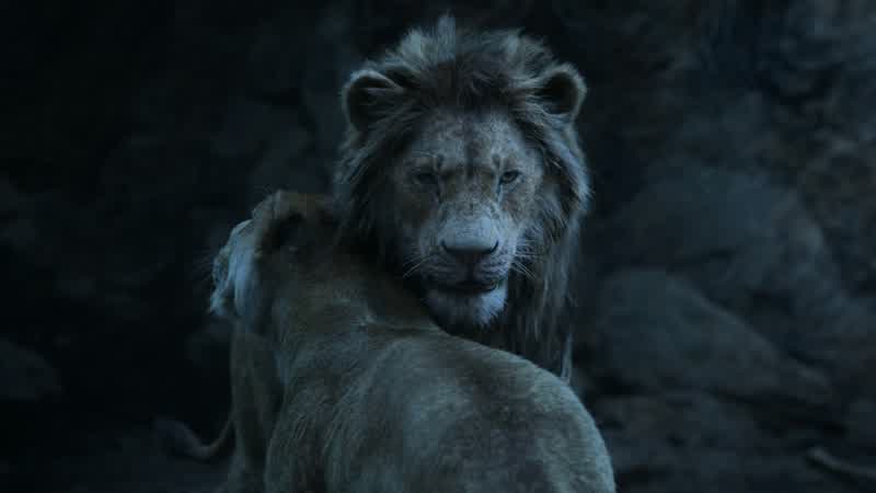 SimbaI'm so happy to see youAliveGive me one good reasonwhy I shouldn't rip you apartI can give you more than oneYou seethey think I'm kingWell we don'tYour reign is over ScarSimba is the rightful