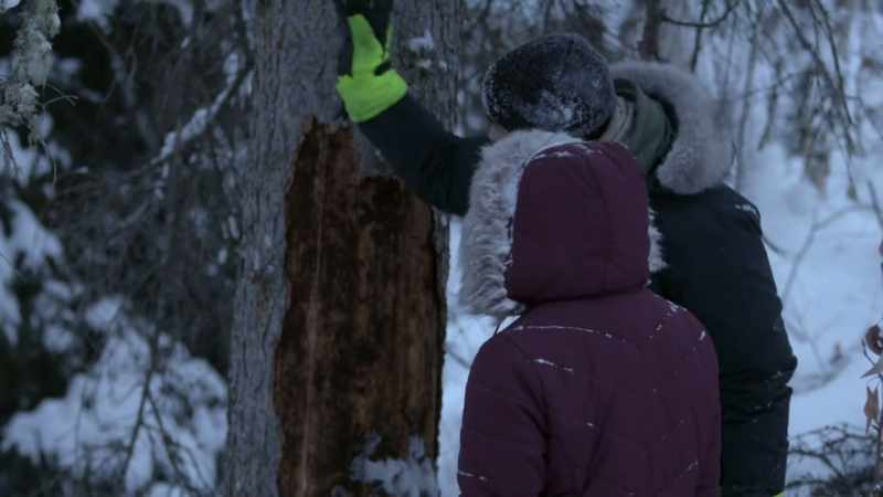 I'm hoping that it just falls right on down to this clearing