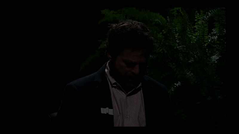 I'm your host, Zach Galifianakis