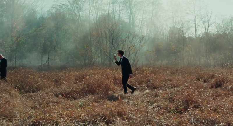 I'm in this forest