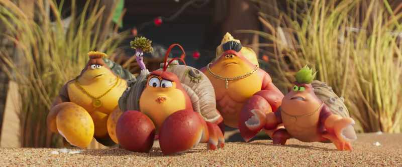 I'm just throwing it out there, but aren't you all hermit crabs?