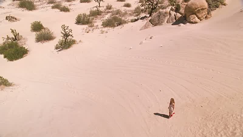I'm never gonna find them here