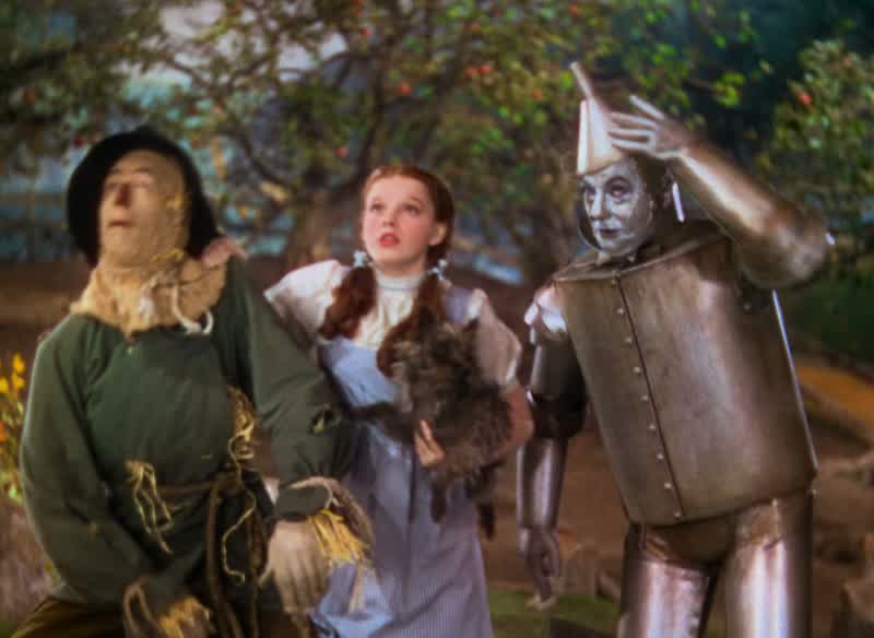 I'm not afraid of herI'll see you get safely to the Wizard whether I get a brain or notStuff a mattress with meI'll see you reach the Wizard whether I get a heart or notBeehive BahLet her try and make
