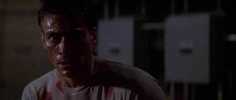 I'm not gonna kill you!