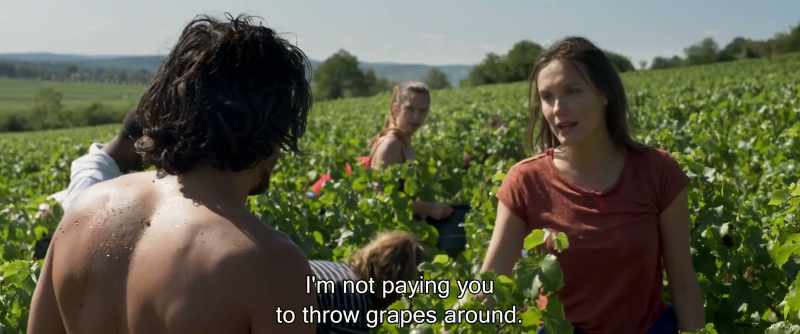 I'm not paying you to throw grapes around