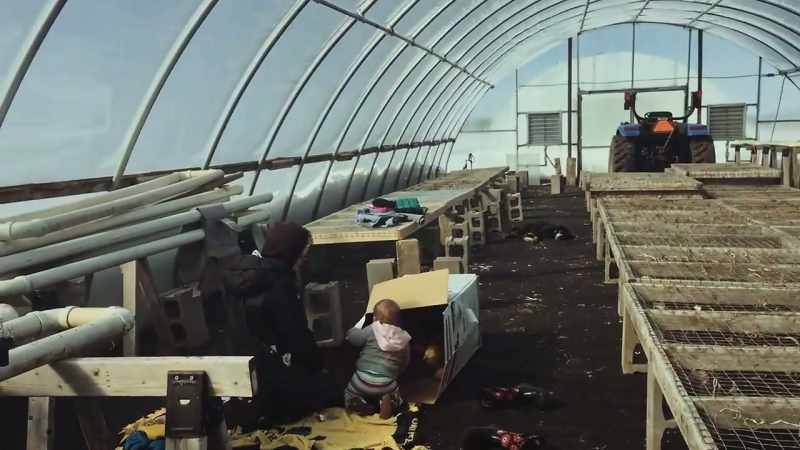 I'm not saying agriculture should be super predictable