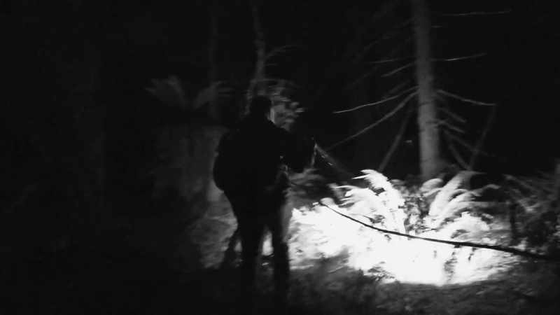 I'm not saying that it's Bigfoot
