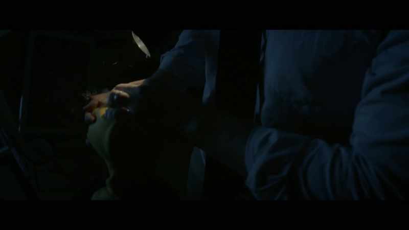 I'm Remi the Lion. Wanna play?