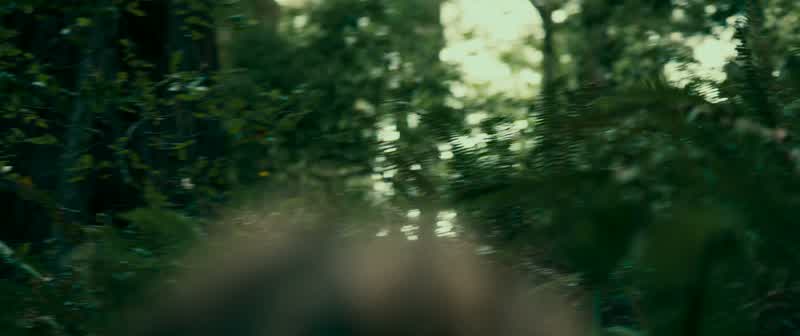I'm scared of whatever took that poopBut why thoughBecause only huge scary thingstake poops that bigSo what Everything poopsYes but if it finds us it will eat usand push us out its butt and turn us