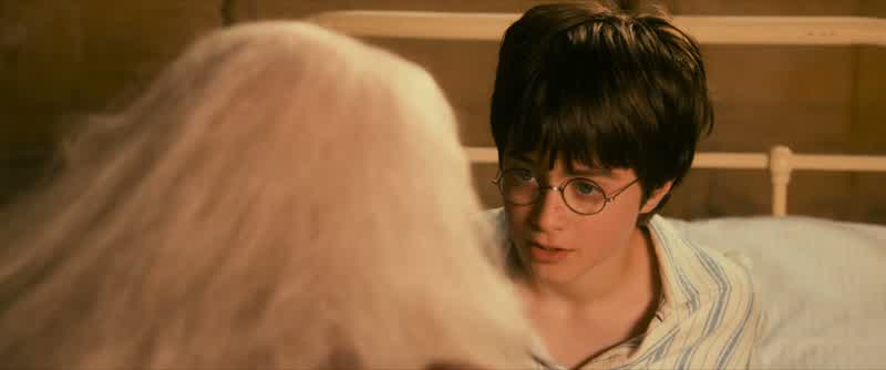 I'm shaking hands with Dumbledore