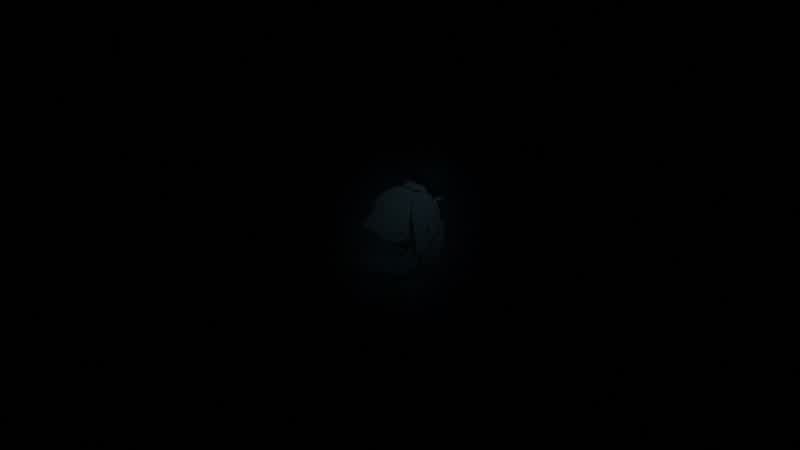 I’m so scared