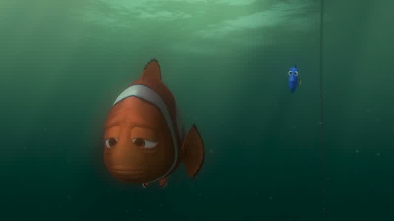 I'm sorry, Dory, but I do