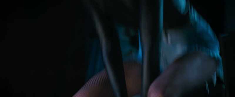 I'm sorry, I just