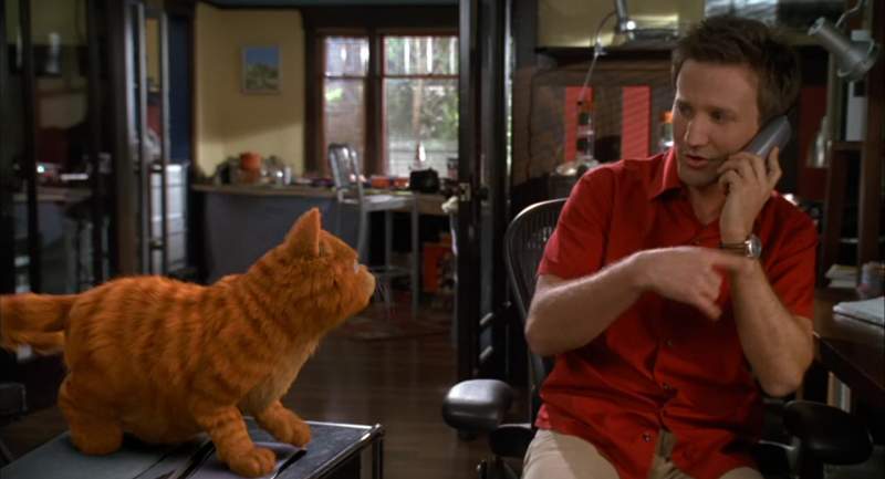 I'm sorry Liz I'll call you later Garfield's being Garfield