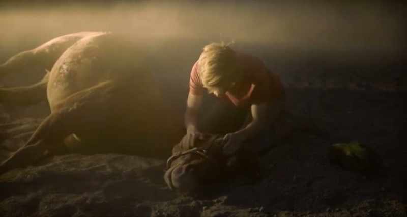 I'm so sorry. - (WHIMPERING)