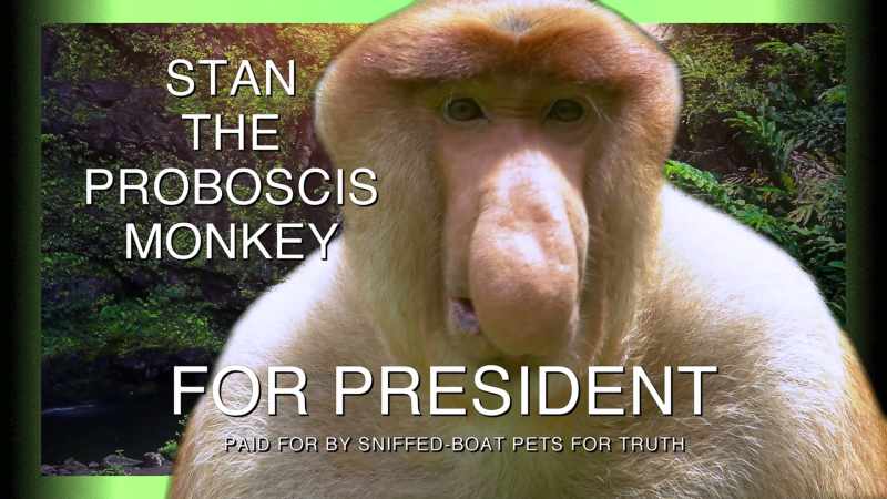 I'm Stan the proboscis monkey, and I approve this message
