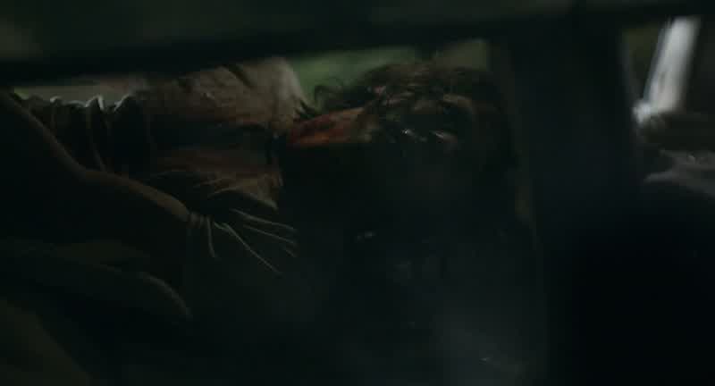 I'm supposed to bring you in alive