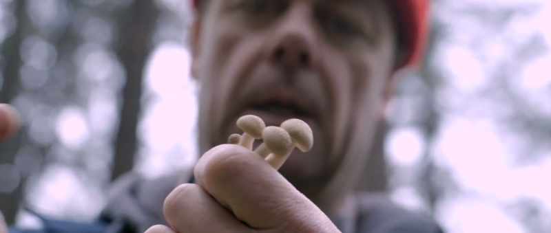 I'm taking this little family with me