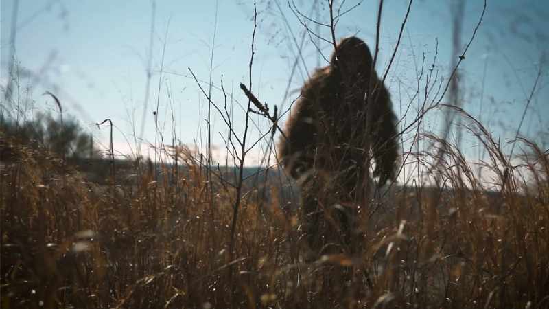 I'm talking about a habitual, natural bipedal primate