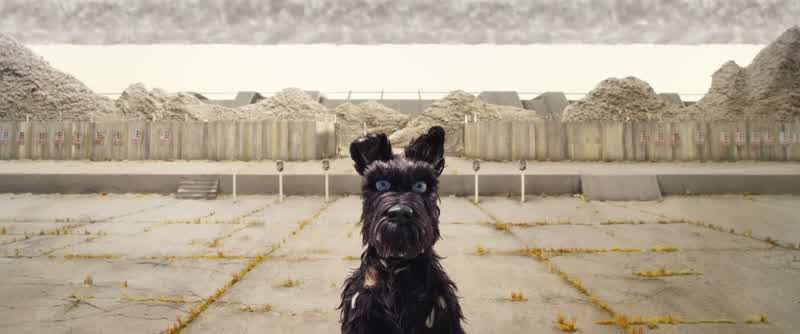 Fetch-i!