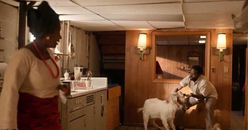 I'm telling you! Your brother is a herdsman!