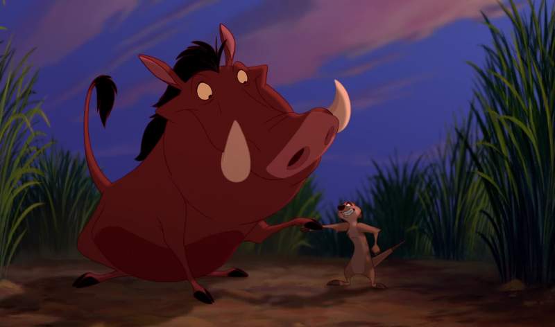 I'm timon pumbaa