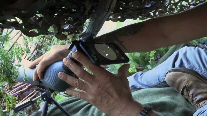I'm way up on this hillside can count the branches