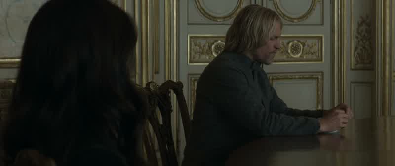 I'm with the Mockingjay