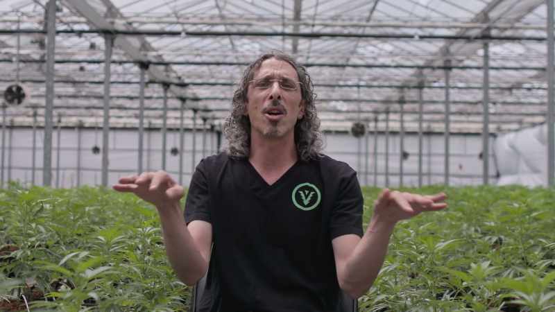 Imagine a graphic equalizer with over 400 dials on them. THC, cannabidiol, CBG, CBN