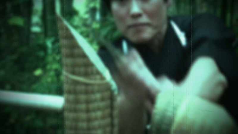 Imagine this master swordsman makes 1000 cuts