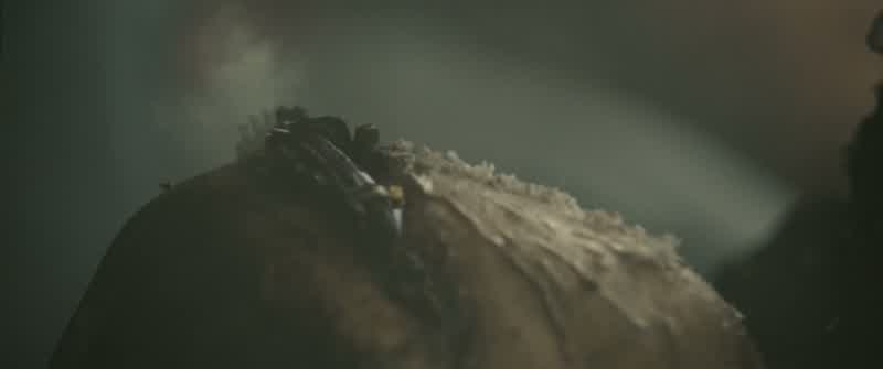 IMLAY: Shit