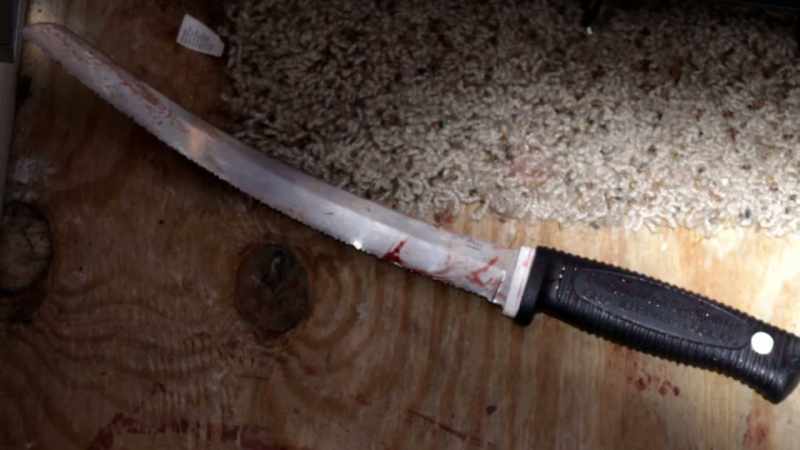 Immediately we started screaming to drop the knife