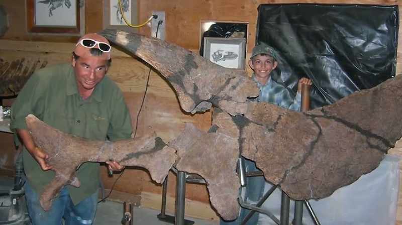 IN 12 YEARS, I'VE FOUND THREE TRICERATOPS