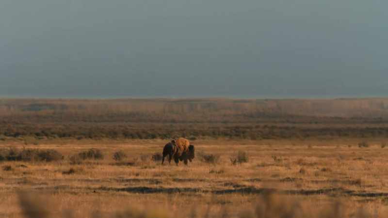 In 1846, a decade-long drought began