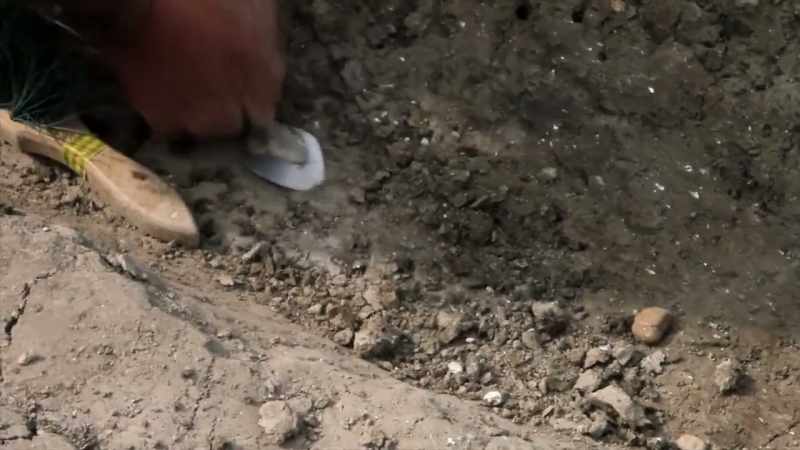 In 2013, a team of archeologists