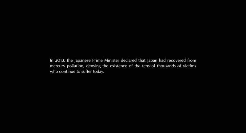 In 2013, the Japanese Prime Minister declared