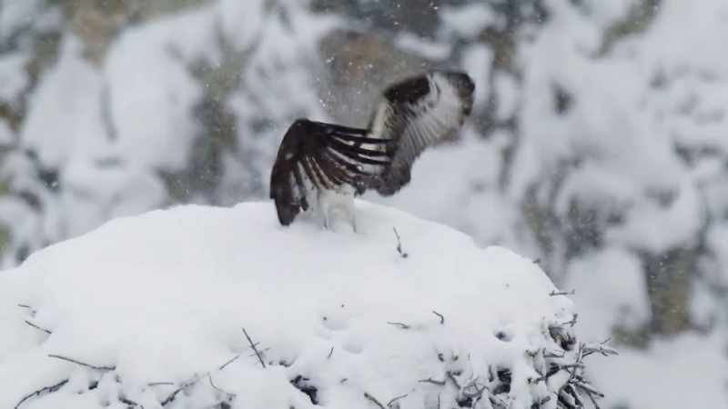 In a place where winter is never far away