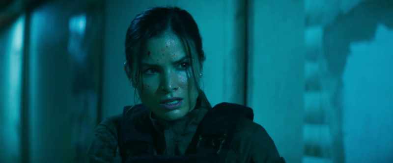 In a wolf fight