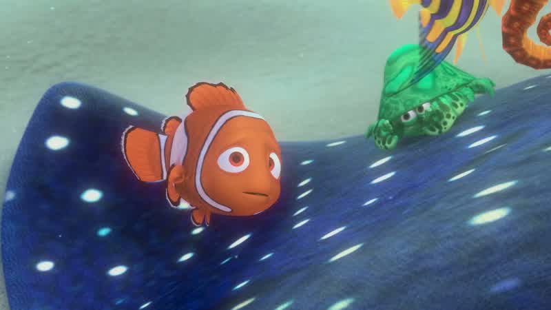 In an anemoninny