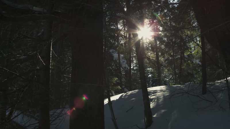 In April, the strengthening sunshine