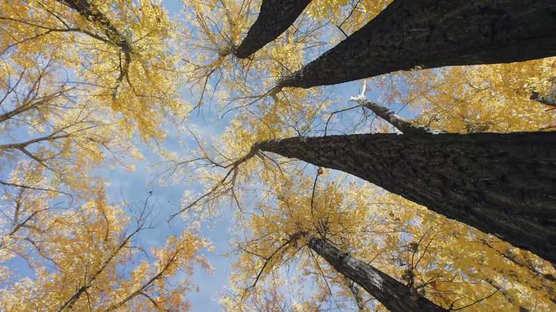 In autumn, another cycle of change is under way