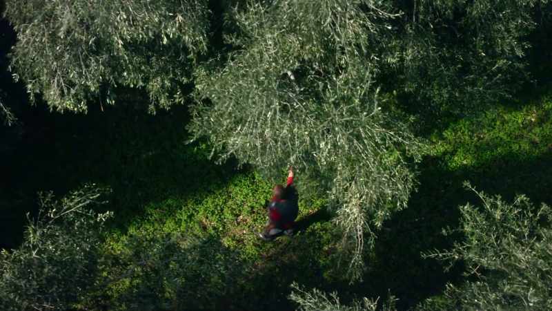 In autumn, he and his neighbors