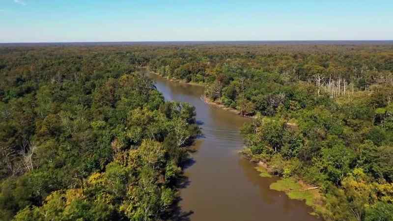 In Bayou Postillion, Jacob and Don have their sights