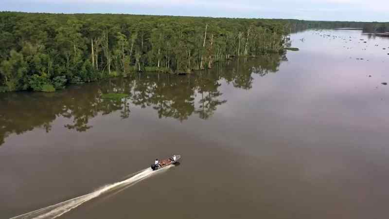 In Bayou Shaffer